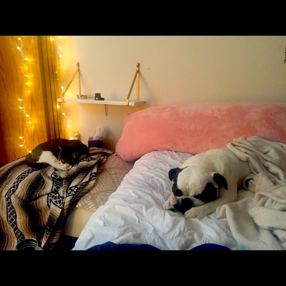 Meet your Posher, Jennifer - Picture 2 of 6